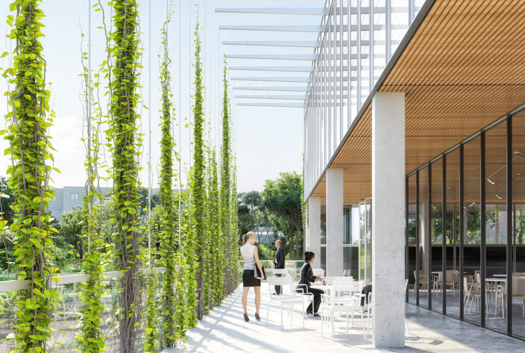 Tour Erbajolo CAM TERRACE RESTO copie Bureaux, Espace, Co-working, architecture, Erbajolo, Bastia, Corse, France, Versini Architectes Associés